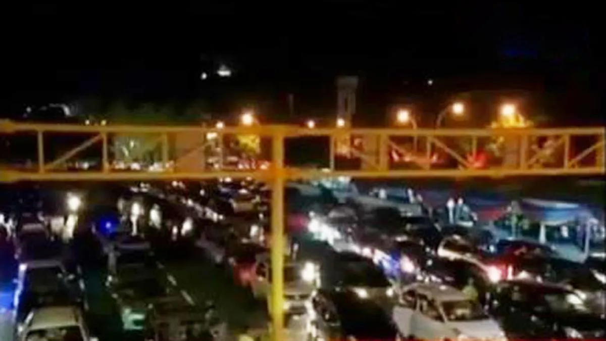 Keindahan Lampung Selatan: Surga Lumba-Lumba di Gerbang Pulau Sumatra