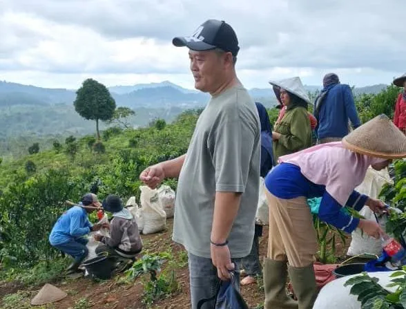 Ketua DPD PSI Grobogan Lakukan Studi Banding Perkebunan Kopi di Cianjur