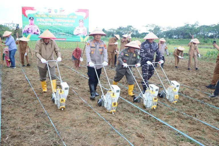 Kolaborasi Polres Kutai Timur dan PT KPC: Penanaman Jagung di Lahan Eks Tambang