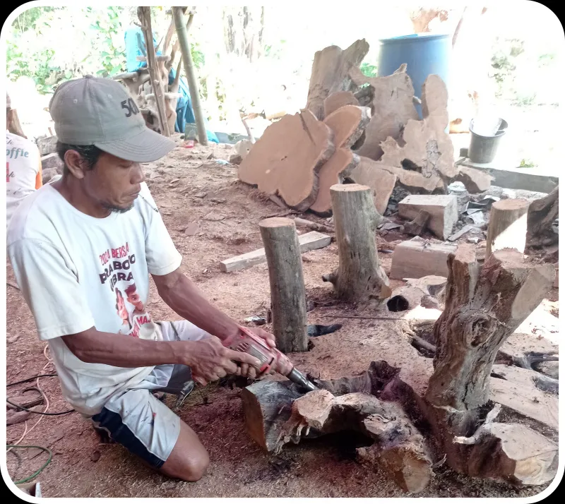 Kreativitas Perajin Blora: Mengubah Akar Jati Menjadi Furnitur Bernilai Tinggi