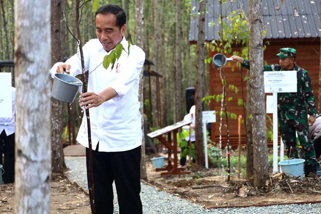 Pengembangan Reforestasi di Ibu Kota Nusantara Menuju Kota Hutan Inklusif