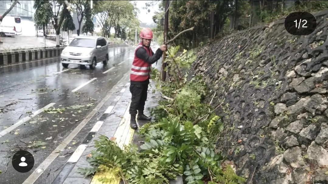 Tim SAR Brimob Polda Kaltim Evakuasi Pohon Tumbang di Balikpapan