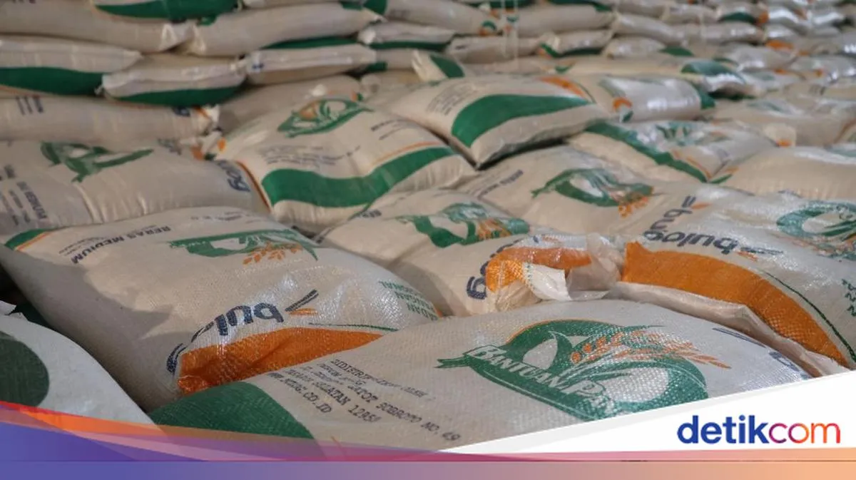 Pemerintah Salurkan Bansos Beras untuk 33,2 Juta Keluarga Penerima Manfaat