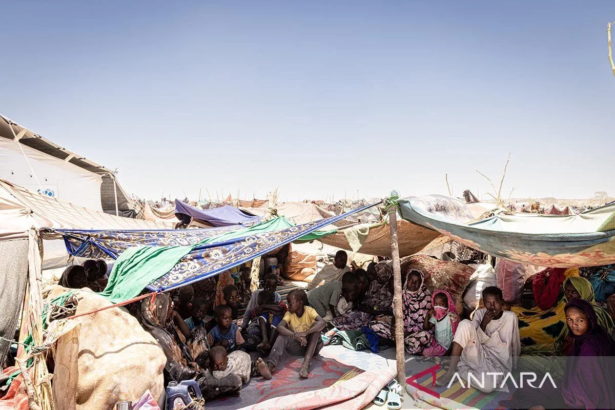 Serangan Drone Hancurkan Konvoi Bantuan Pangan WFP di Sudan