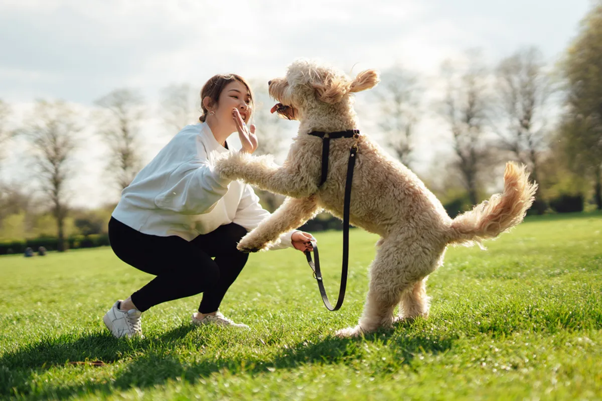 Kebiasaan Unik Pemilik Anjing yang Mencerminkan Kedekatan Emosional