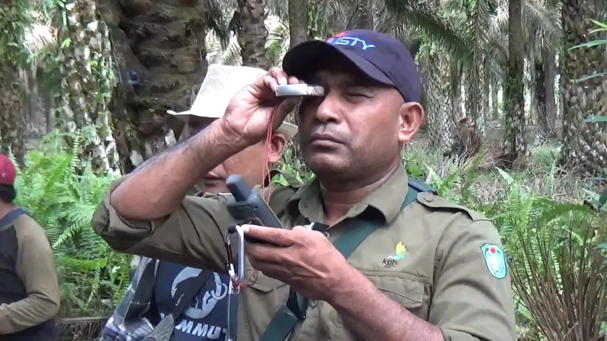 Penjelasan PT Agrolestari Mandiri Terkait Isu Kawasan Hutan Lindung di Nanga Tayap