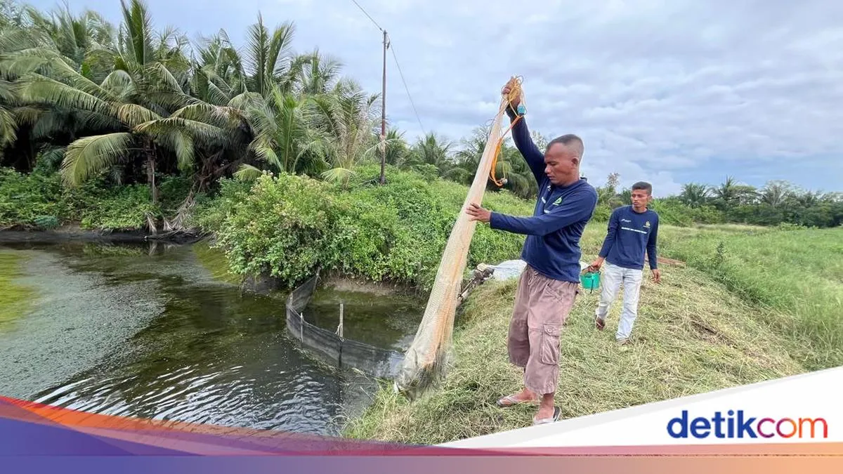 Transformasi Tambak Mati Menjadi Sumber Ekonomi Berkelanjutan di Gampong Berdikari