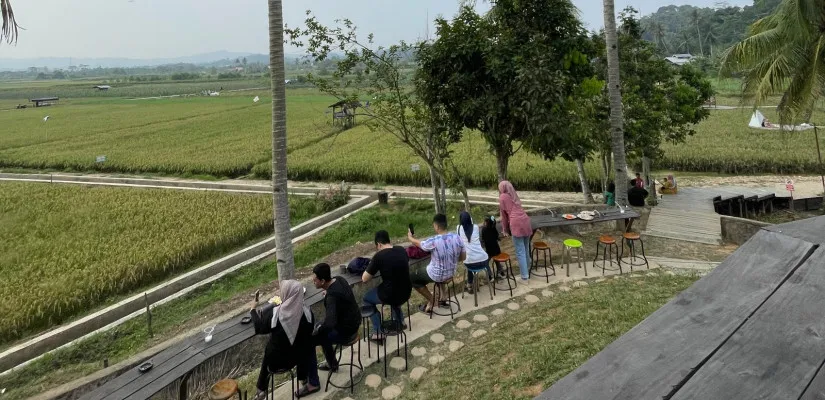 Sudut Pandang: Destinasi Healing dengan Pemandangan Sawah di Samarinda