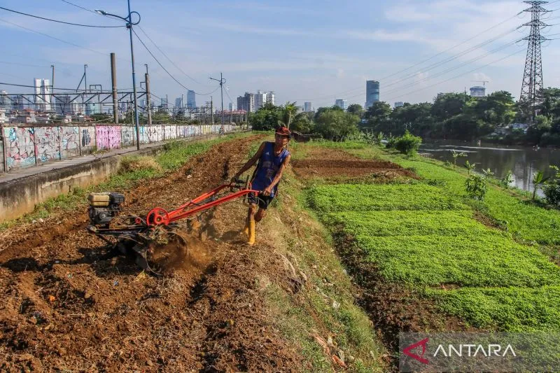 Pemkot Jakbar Sosialisasikan Urban Farming untuk Ketahanan Pangan