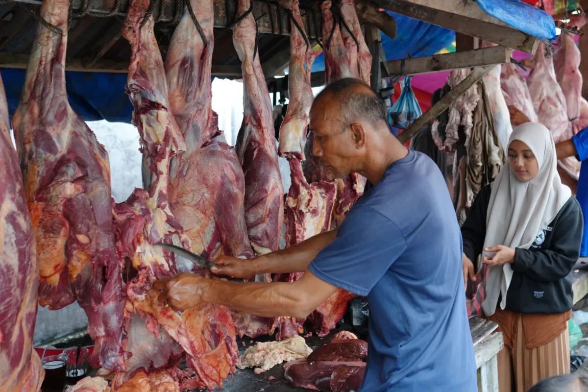 Kenaikan Harga Daging Jelang Puasa: 60 Ternak Dipotong untuk Meugang