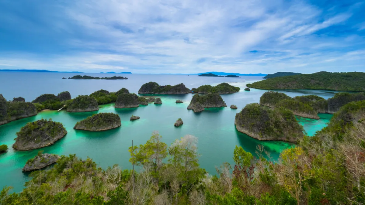 Ancaman Tambang di Raja Ampat: Pakar UGM Serukan Penegakan Hukum Lingkungan