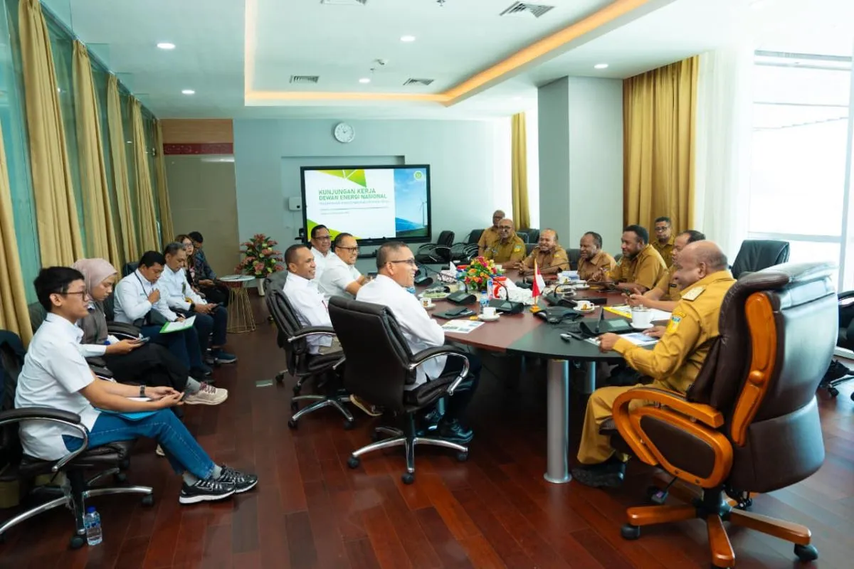 DEN Ingatkan Penyusunan RUED Papua Sesuai Kebijakan Energi Nasional
