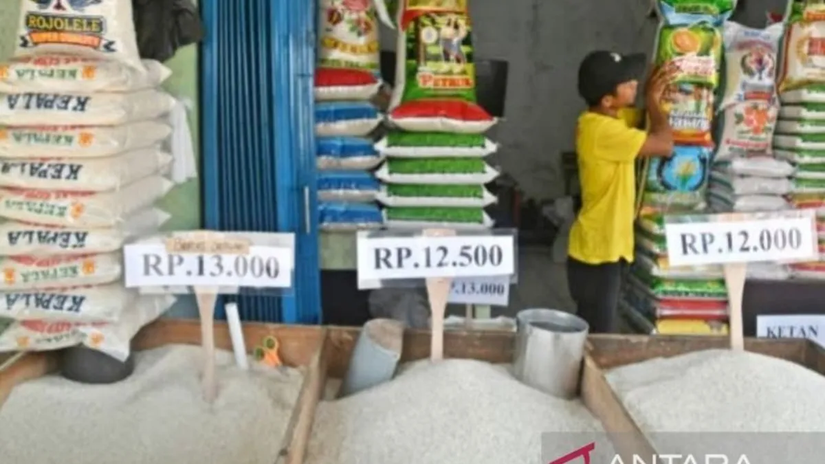 Kualitas Beras Jadi Fokus Utama Pasca Kasus Oplosan