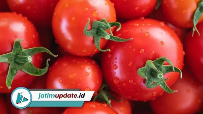 Harga Tomat di Kota Blitar Terendah di Jawa Timur