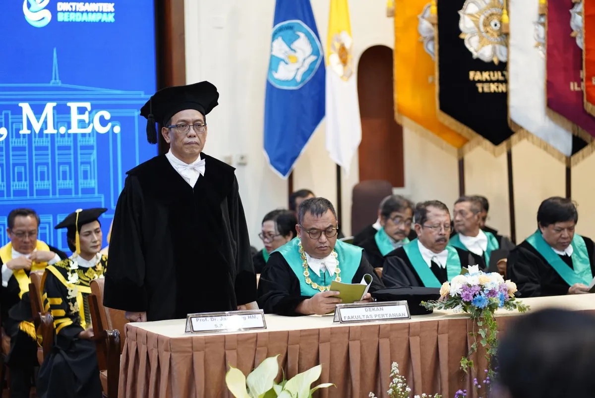 Peningkatan Produktivitas Pangan RI Tak Sejalan dengan Kesejahteraan Petani