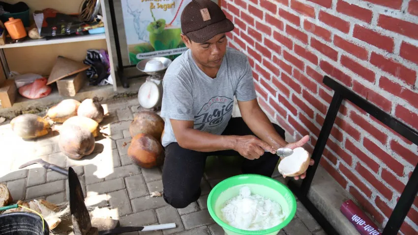 Kampung Kopyor Semuten: Inovasi Pertanian Berbasis Kelapa Kopyor