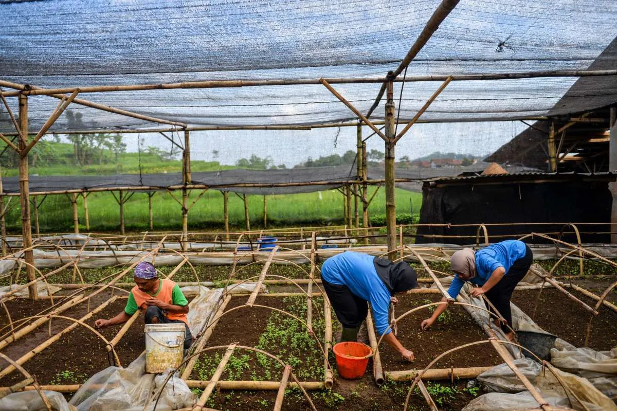 Marsinah: Simbol Perjuangan Buruh di Tengah Krisis Lapangan Kerja