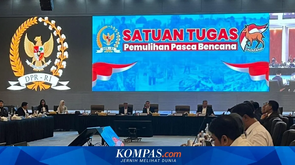DPR Setujui Anggaran Kesehatan Rp 529,3 M untuk Pemulihan Bencana Sumatera