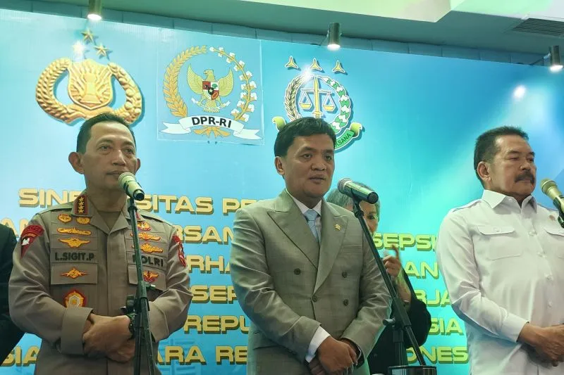 KUHP Baru Tingkatkan Perlindungan Hak Warga Negara