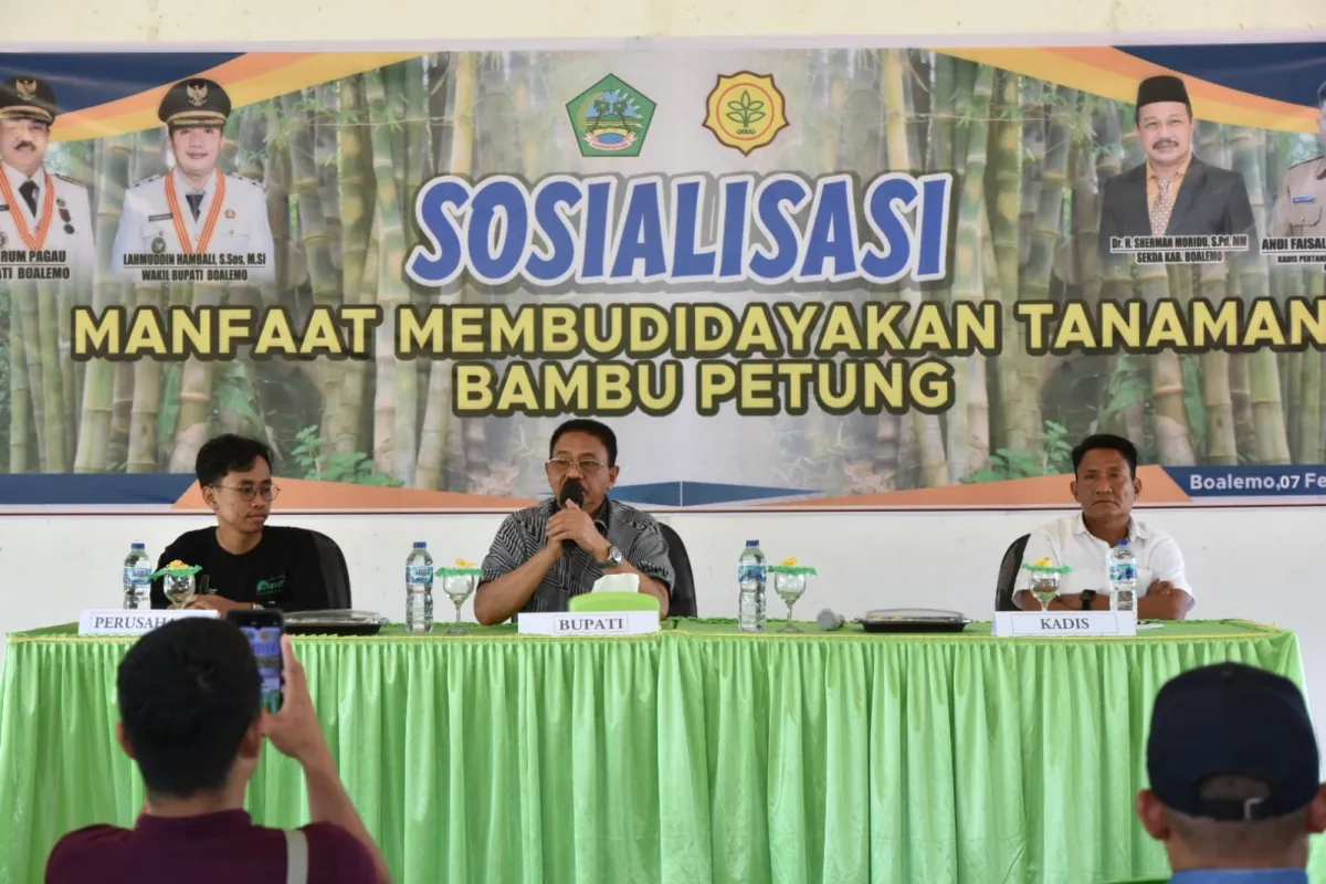 Bambu Petung Dicanangkan Sebagai Komoditas Unggulan di Boalemo
