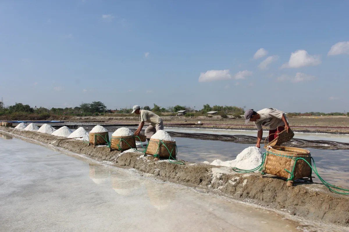 KKP Luncurkan Teknologi SWRO untuk Produksi Garam Berkualitas Tinggi