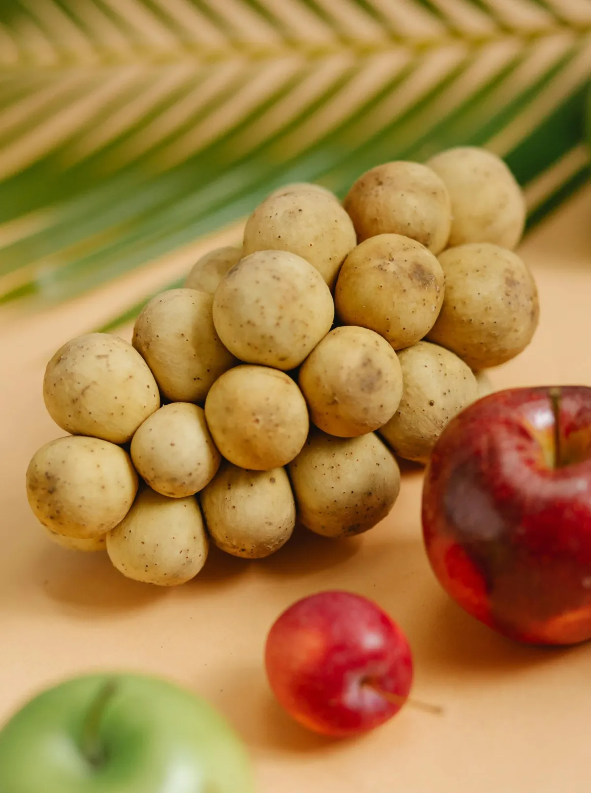 10 Fakta Menarik tentang Buah Duku yang Perlu Diketahui