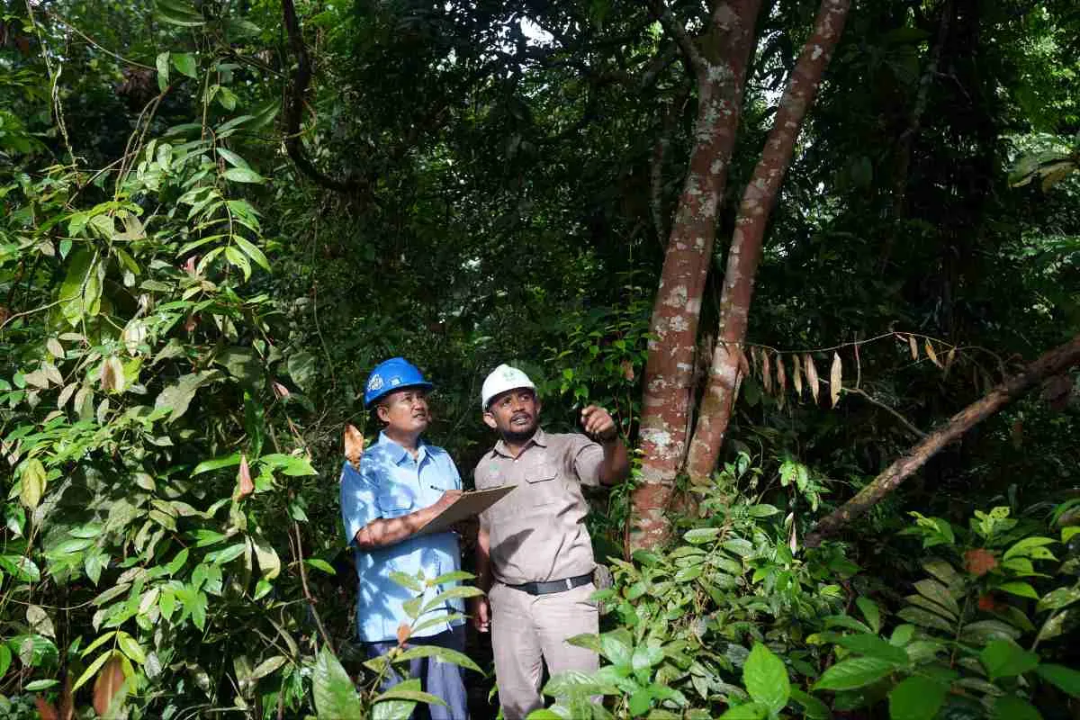 PT Inti Indosawit Subur Tegaskan Tidak Terlibat dalam Aktivitas di Taman Nasional Tesso Nilo