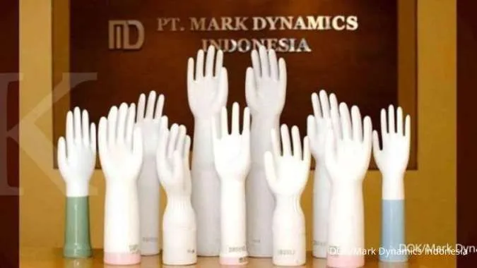 Mark Dynamics Tetap Optimis Meski Hadapi Tantangan Global
