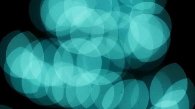 Memahami Efek Bokeh dan Cara Mengaturnya dengan Kamera Ponsel
