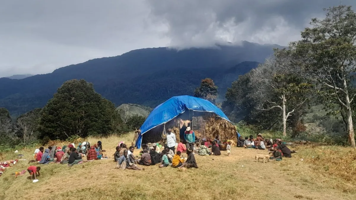 Krisis Pengungsi di Papua: Sejarah Konflik yang Tak Pernah Usai