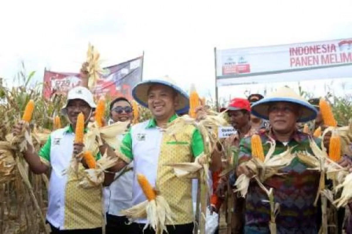 Gubernur Ridho Cita Lampung sebagai Sentra Jagung Nasional