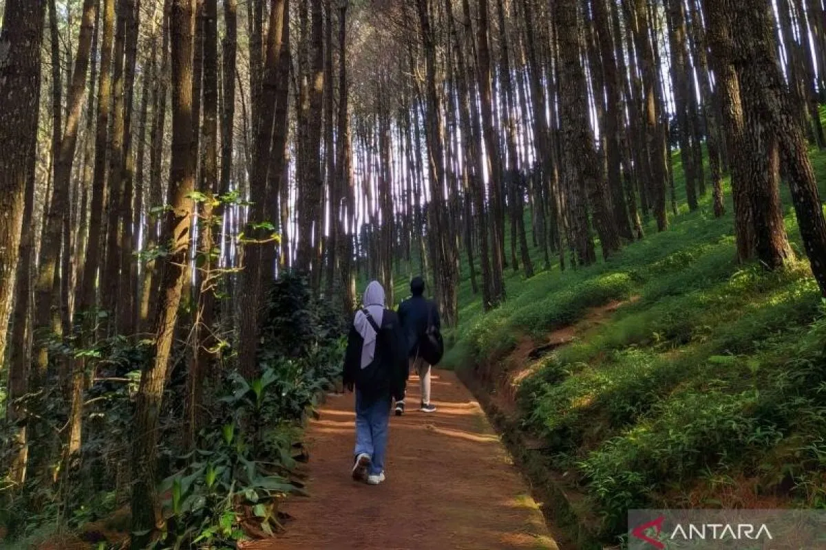 Gerakan Nasional 'Indonesia Asri' untuk Meningkatkan Pariwisata Berkelanjutan