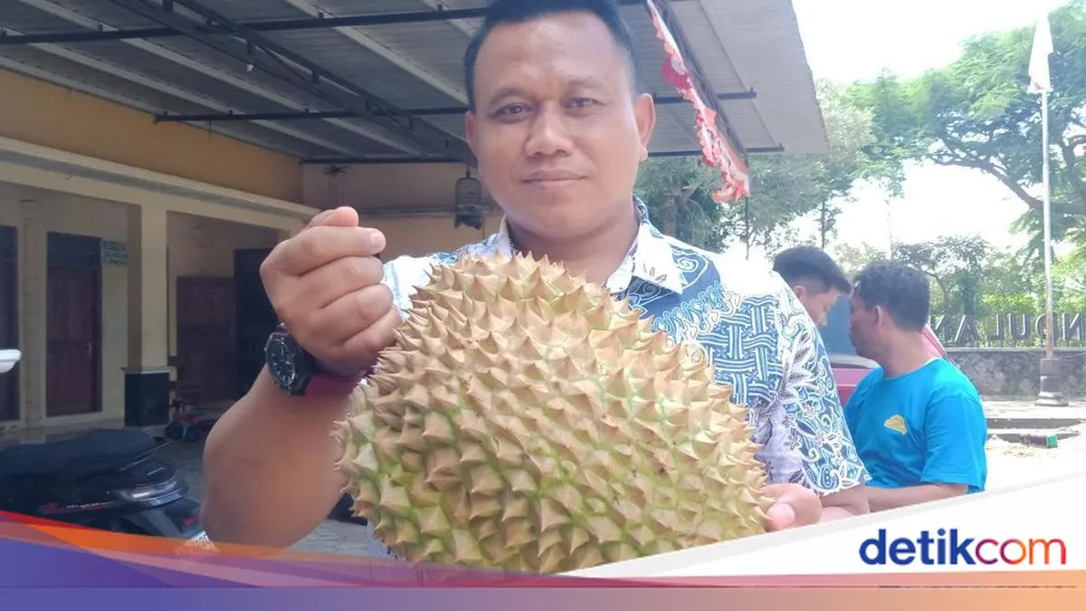 Festival Durian Klaten 2026: 6.000 Paket Gratis Siap Dibagikan
