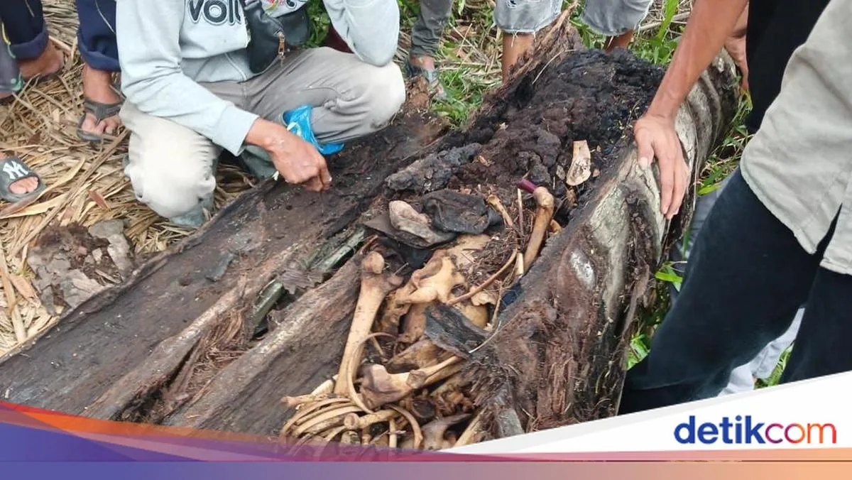 Polisi Selidiki Penemuan Kerangka Manusia Utuh dalam Pohon di Sergai
