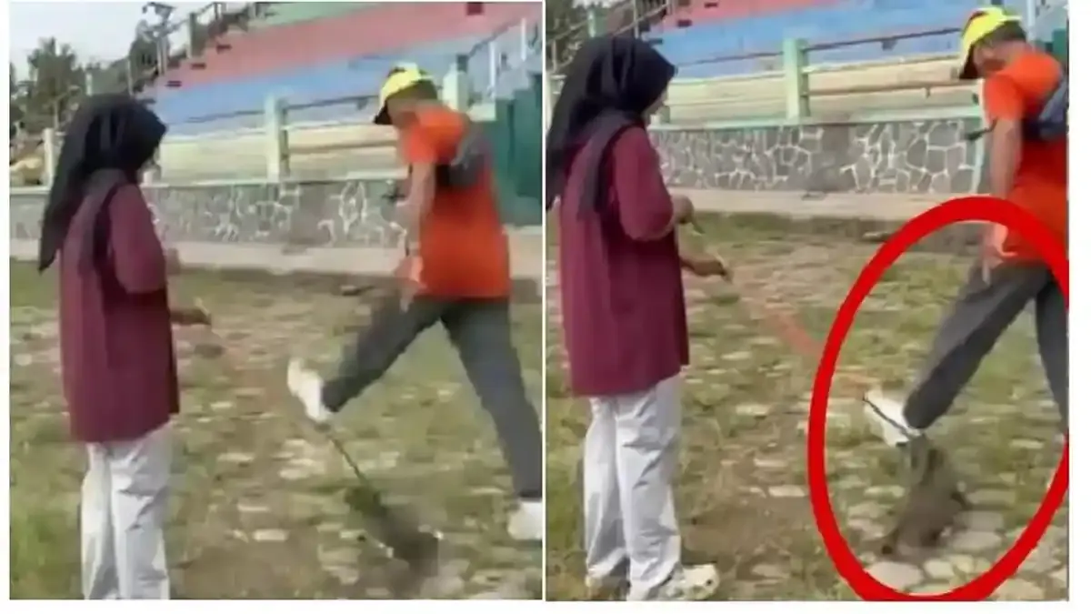 Status Penyidikan Kasus Pensiunan ASN Tendang Kucing Naik di Polres Blora