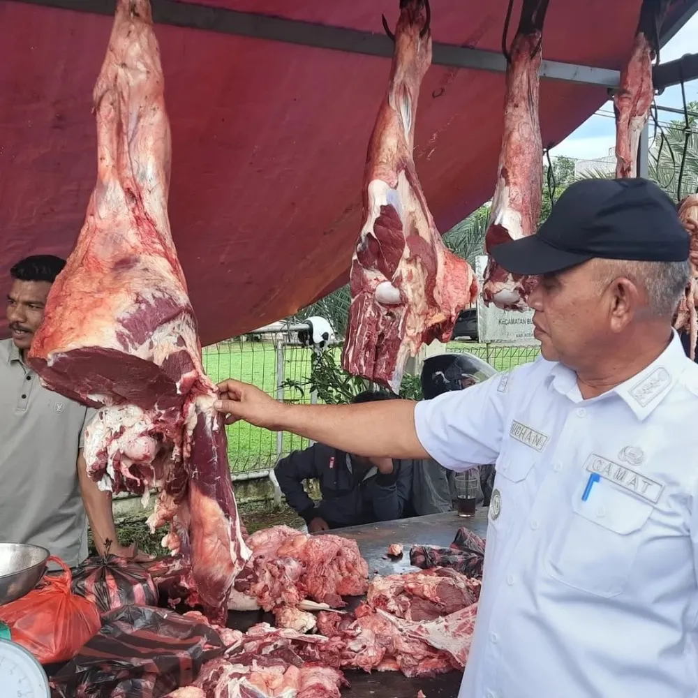 Mengungkap Berita Terbaru