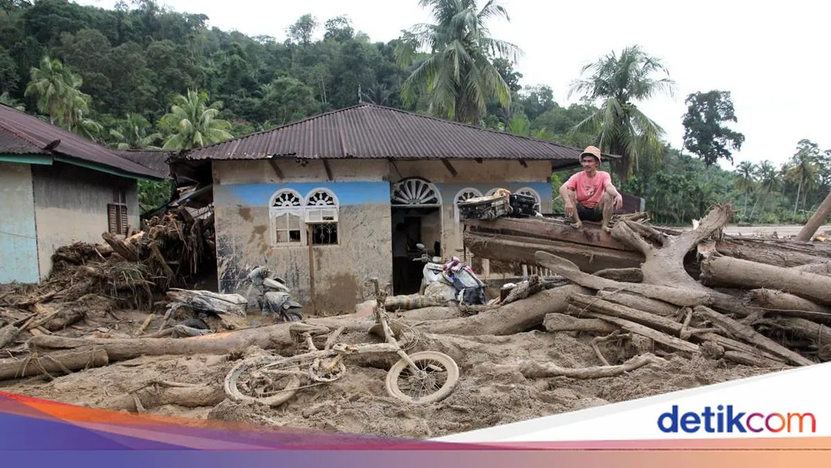 Selebritas Ajak Donasi untuk Korban Banjir dan Longsor di Sumatra