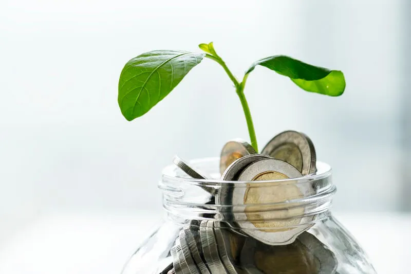 Strategi Pengelolaan Keuangan Pribadi untuk Kesejahteraan Finansial