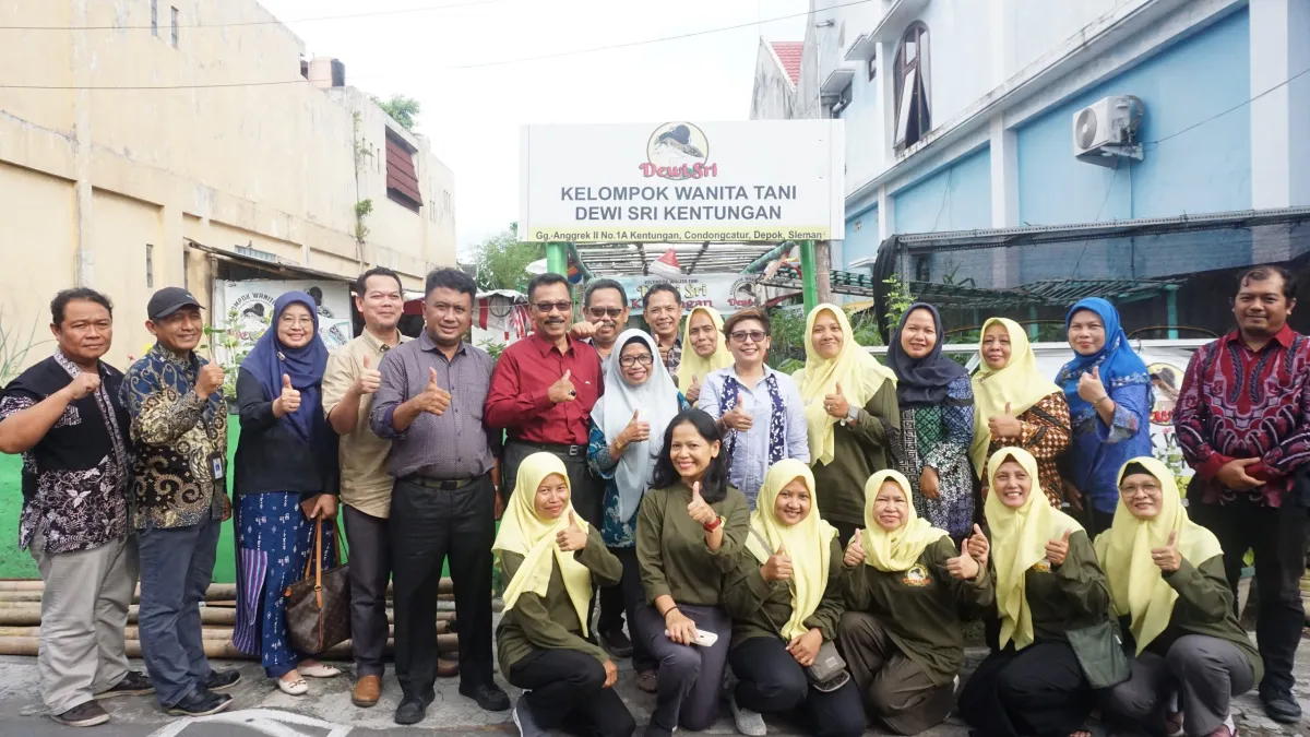 KWT Dewi Sri Inovasi Urban Farming di Lahan Sempit Kentungan