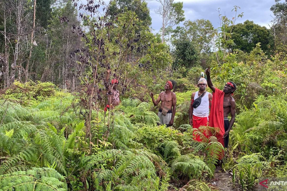 Kementerian Kehutanan Finalisasi Peta Jalan Penetapan Hutan Adat