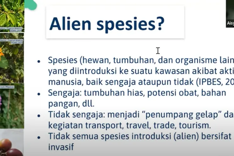 Webinar Mengenal Spesies Invasif Asing oleh BRIN