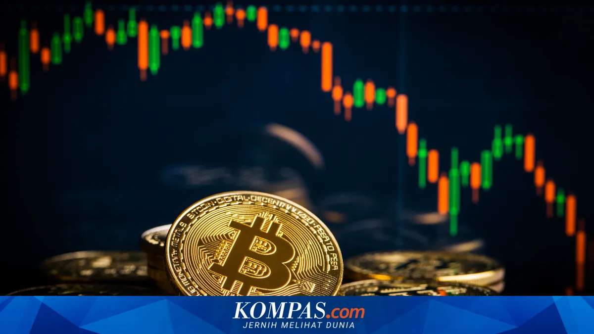 Harga Bitcoin Anjlok ke Level Terendah Sejak 2024