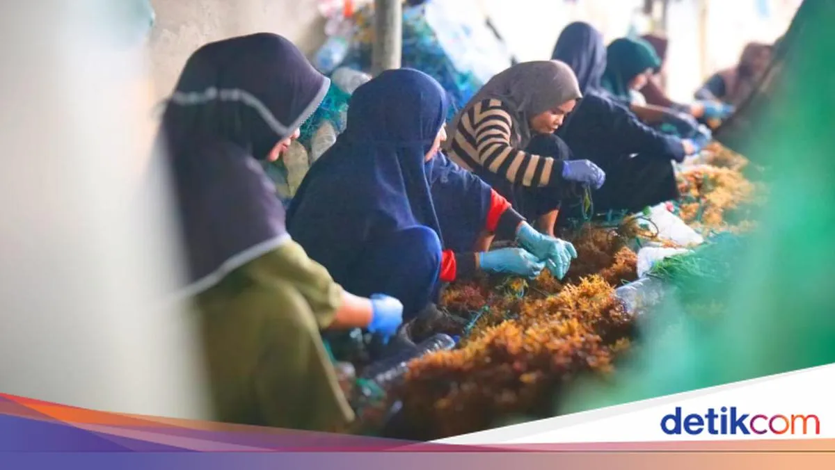 Tantangan di Perbatasan Kalimantan Utara: Pandangan Akademisi