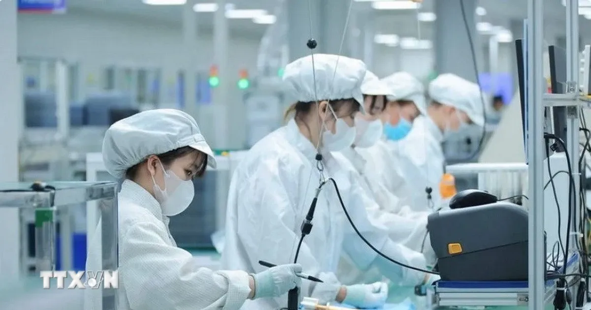Vietnam Dorong Inovasi Digital dan Kerja Sama Teknologi dengan ArcherMind