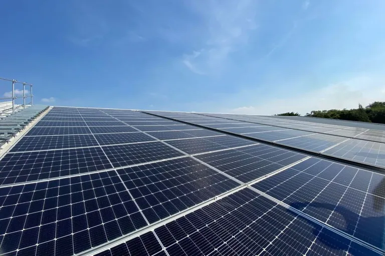 JPMorgan: Transisi Energi Global Diprediksi Volatil dan Lambat