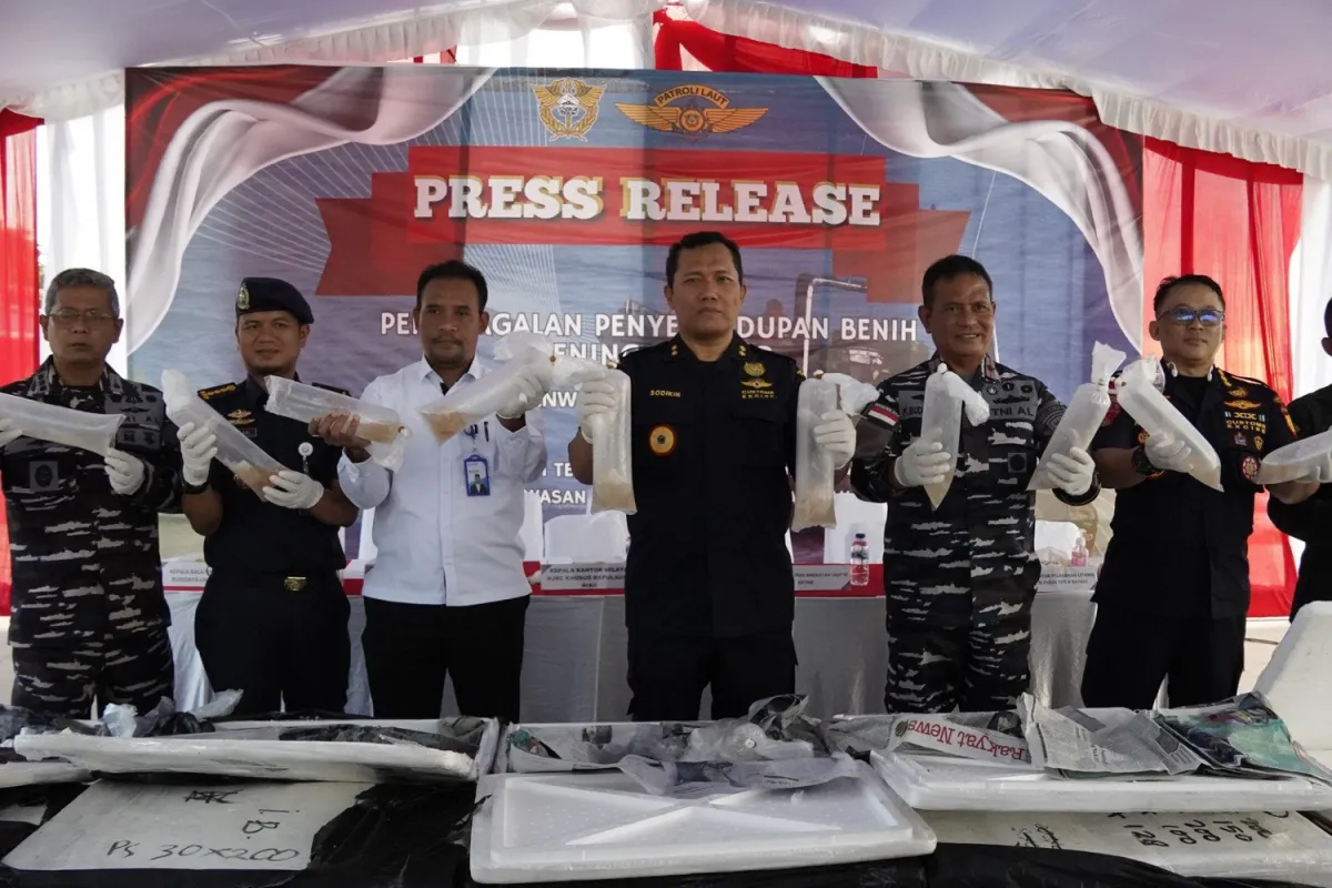 Bea Cukai Gagalkan Penyelundupan 129.965 Benih Lobster di Batam