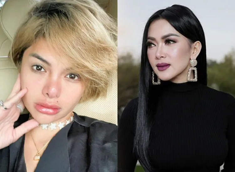 Nikita Mirzani Ungkap Bukti Syahrini Beli Followers Instagram