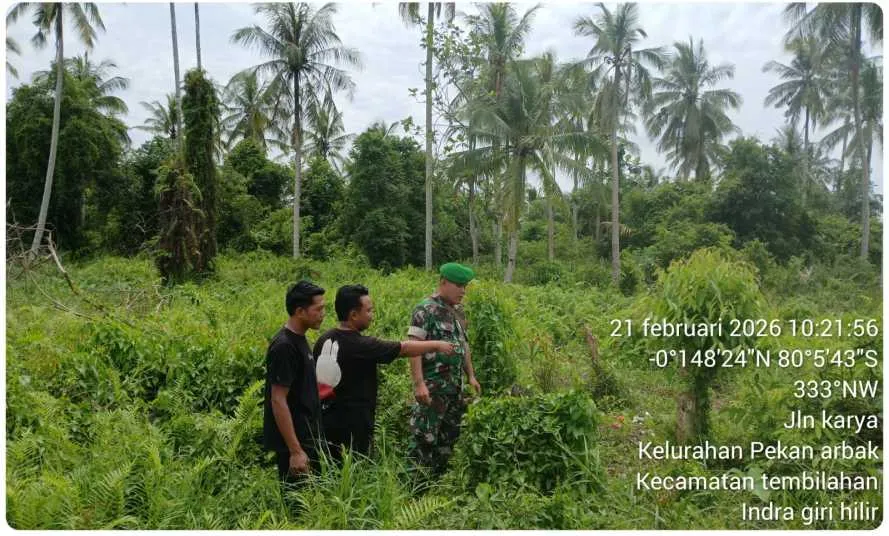 Patroli Tapal Batas Babinsa Pekan Arba Tingkatkan Keamanan Wilayah