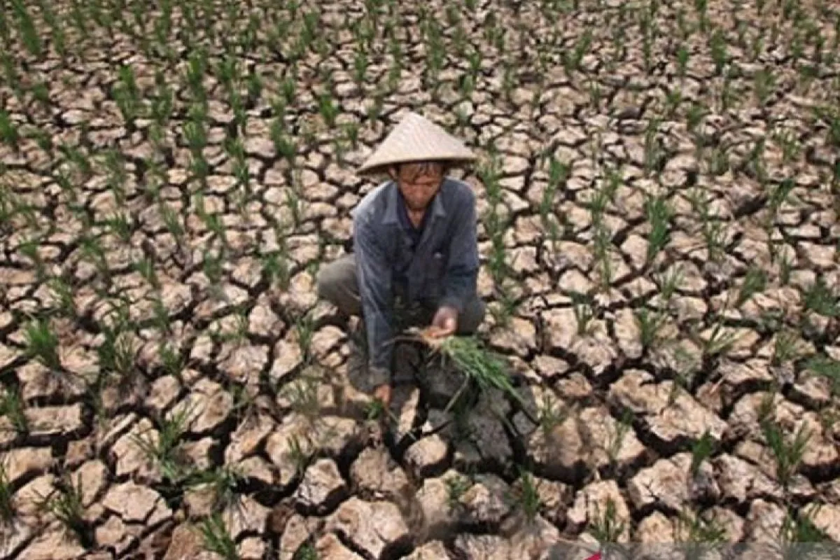 Upaya Indonesia dalam Mitigasi dan Adaptasi Perubahan Iklim Menuju SDGs 2030