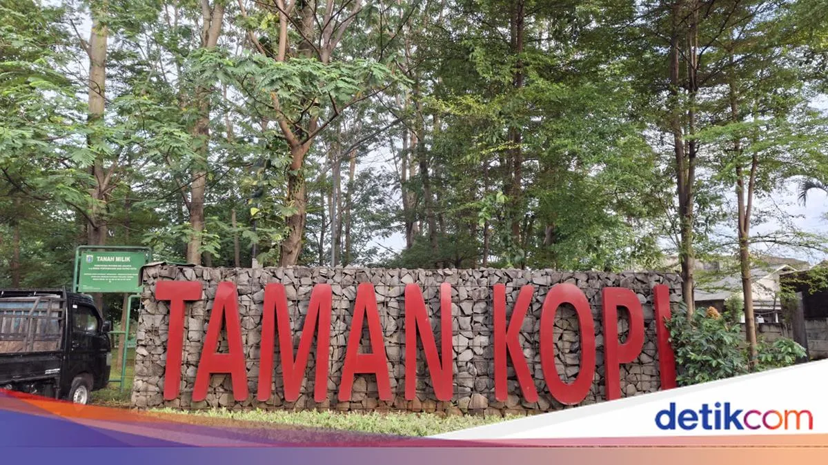 Transformasi Taman Kopi di Pasar Rebo: Dari Hutan Kopi Menjadi Taman Tersisa Satu Pohon